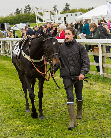 Pony Race - 4 (2 of 107).jpg
