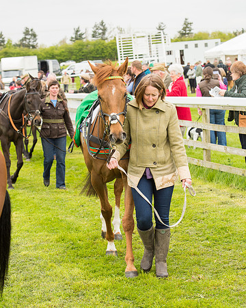 Pony Race - 4 (7 of 107).jpg