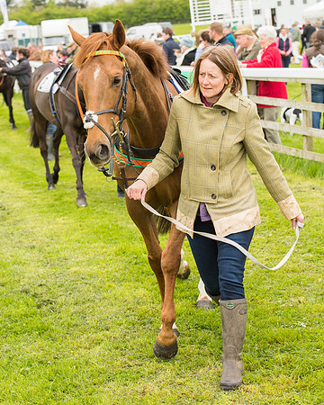 Pony Race - 4 (8 of 107).jpg