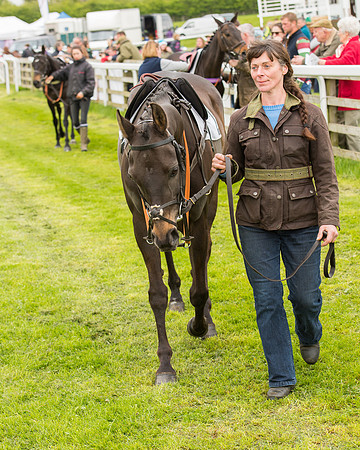 Pony Race - 4 (10 of 107).jpg