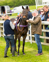 Pony Race - 4 (11 of 107).jpg