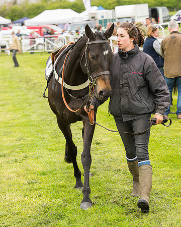 Pony Race - 4 (13 of 107).jpg