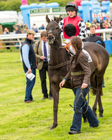 Pony Race - 4 (15 of 107).jpg