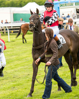 Pony Race - 4 (16 of 107).jpg
