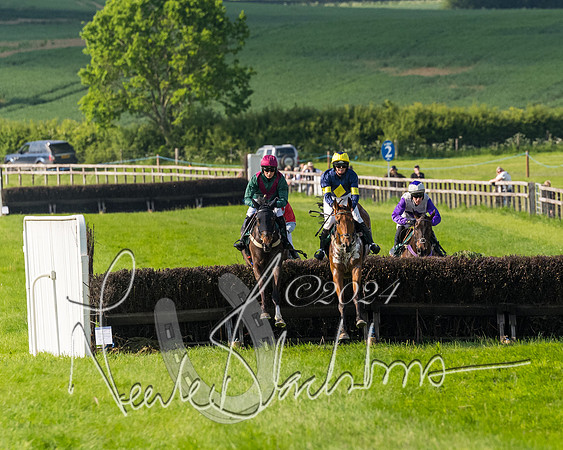 Race 6 - Owner trainer conditions (123 of 272)