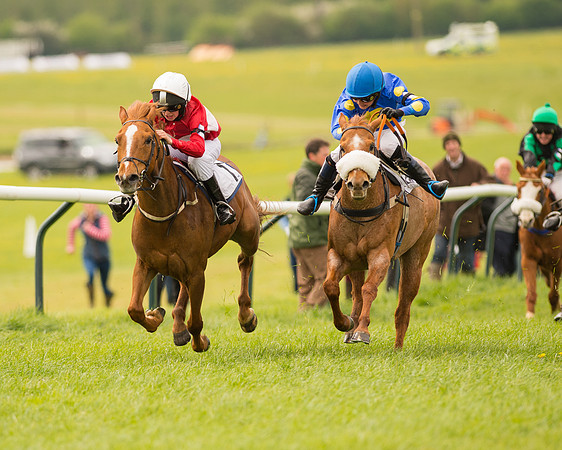 Pony Race 2