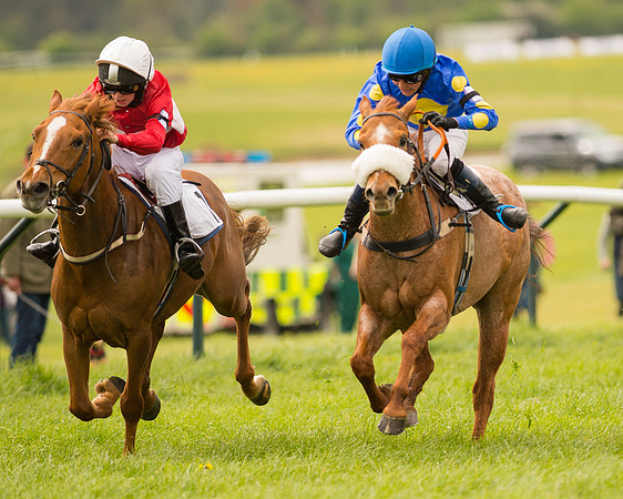 Pony Race 2