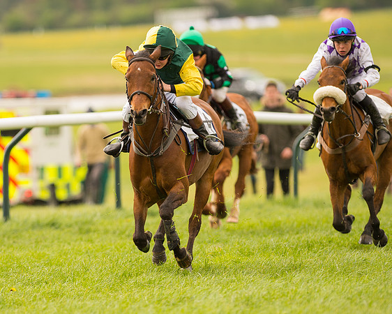 Pony Race 2