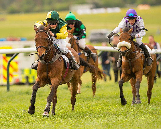 Pony Race 2