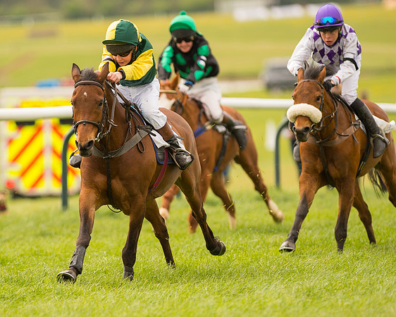 Pony Race 2