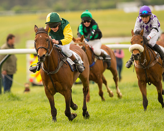 Pony Race 2