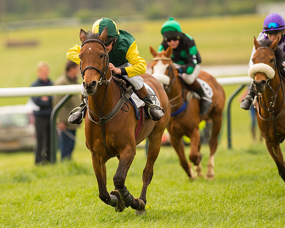 Pony Race 2