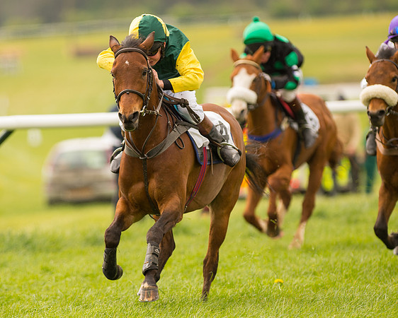 Pony Race 2