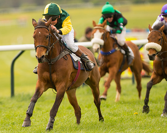 Pony Race 2