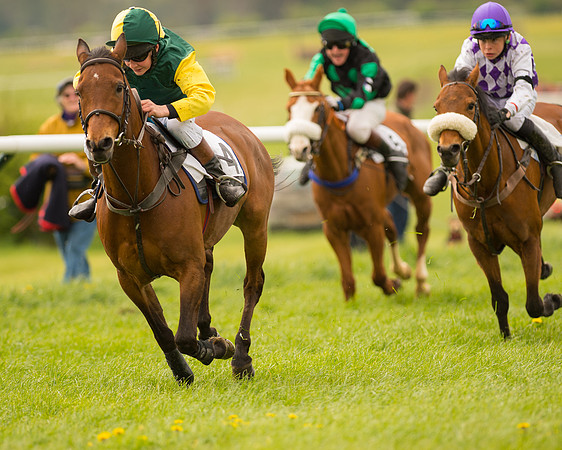 Pony Race 2