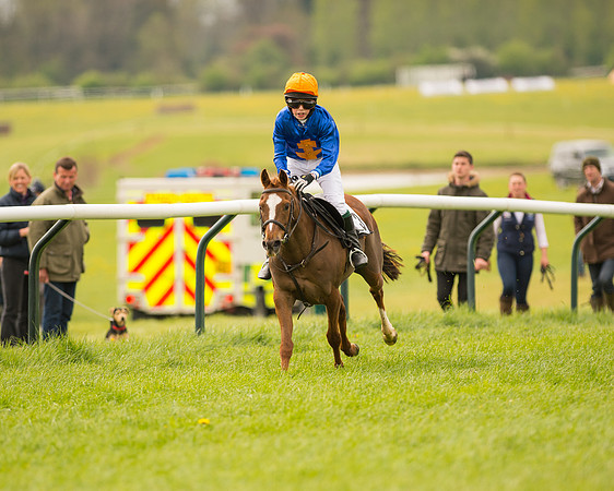 Pony Race 2