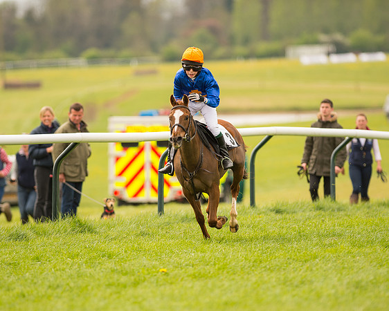 Pony Race 2
