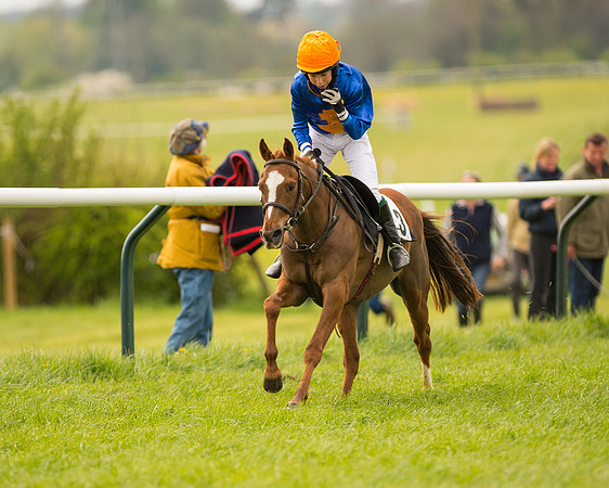 Pony Race 2