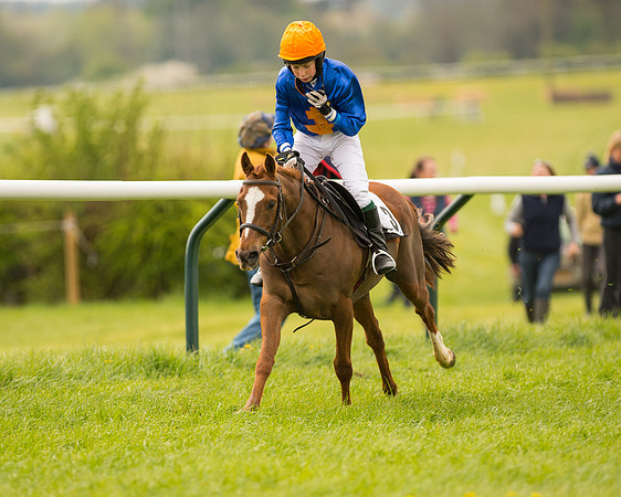 Pony Race 2