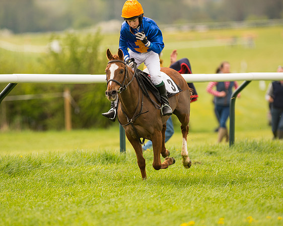 Pony Race 2