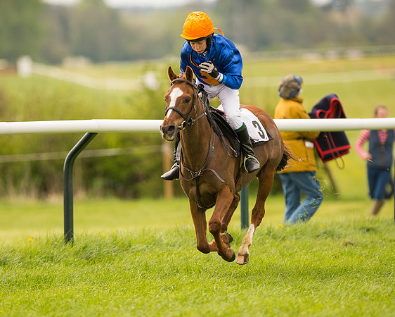 Pony Race 2