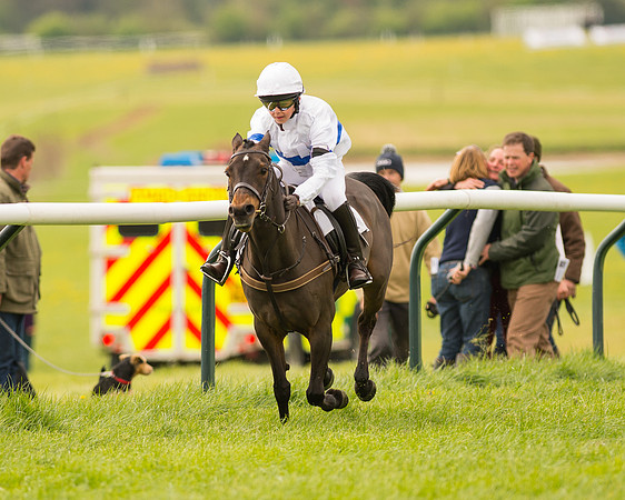 Pony Race 2