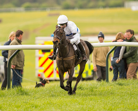 Pony Race 2