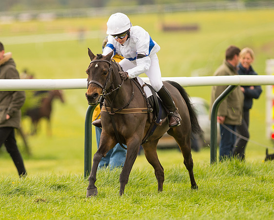 Pony Race 2