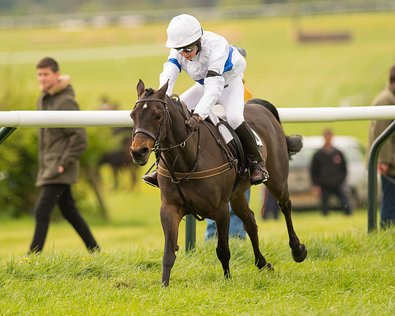 Pony Race 2