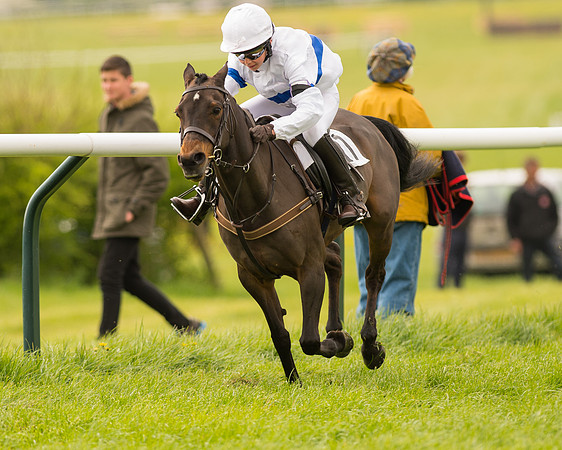 Pony Race 2