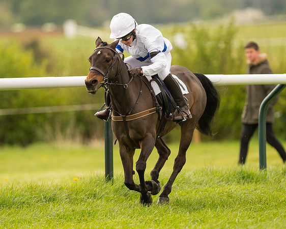 Pony Race 2