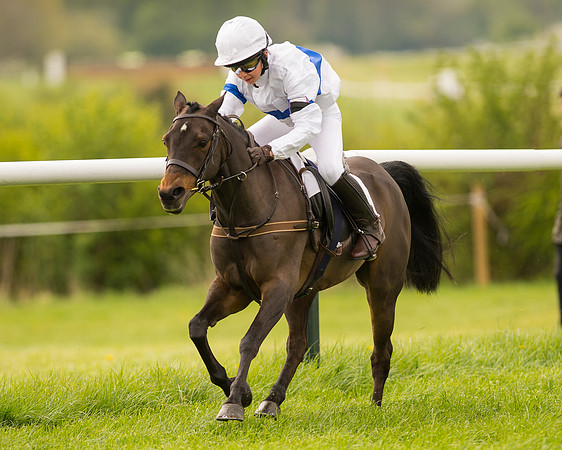 Pony Race 2