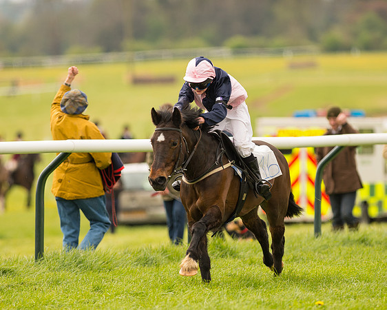 Pony Race 2