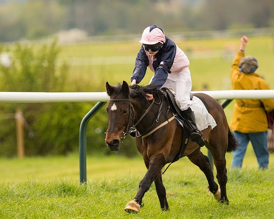 Pony Race 2