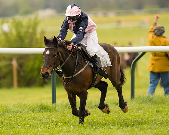 Pony Race 2