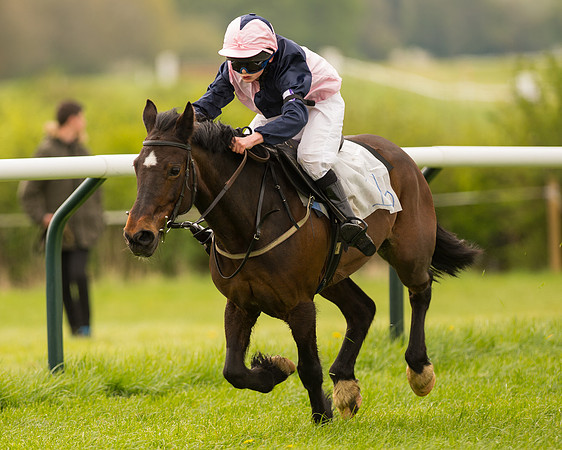 Pony Race 2