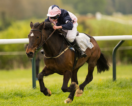 Pony Race 2