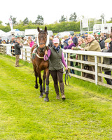 Race 1 - Hunt Members (4 of 79).jpg