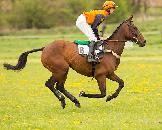 Race 1 - Hunt Members (27 of 79).jpg