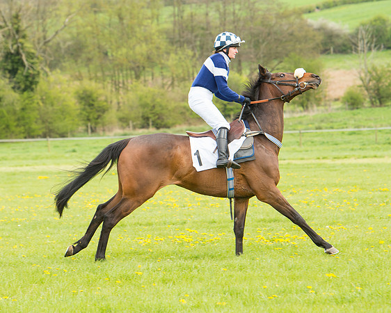Race 3 - Ladies Open (12 of 108).jpg