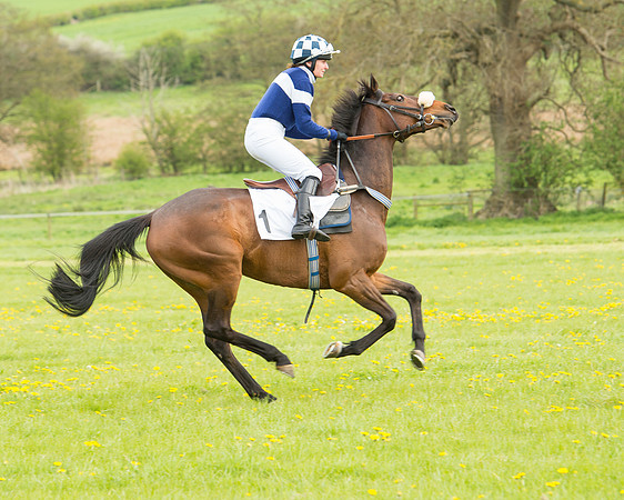 Race 3 - Ladies Open (13 of 108).jpg