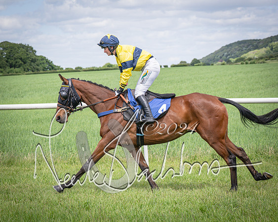 Race 1 - The owner-trainer Conditions race (20 of 118)