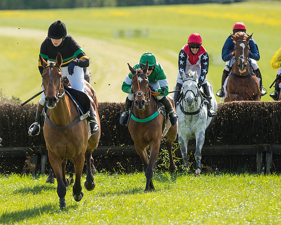 Race 4 - Novice riders (45 of 103).jpg