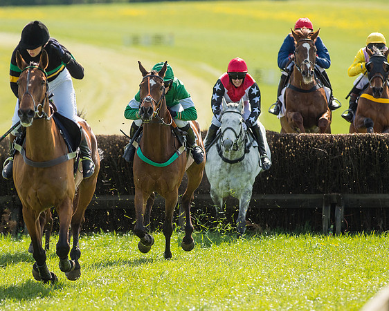 Race 4 - Novice riders (46 of 103).jpg