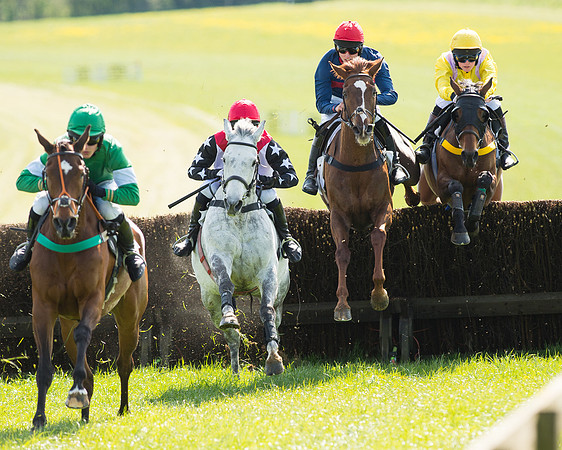 Race 4 - Novice riders (47 of 103).jpg