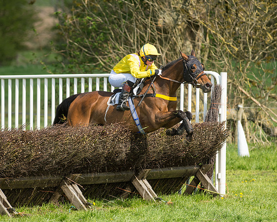Race 4 - Novice riders (66 of 103).jpg