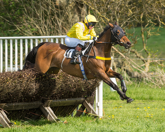 Race 4 - Novice riders (67 of 103).jpg