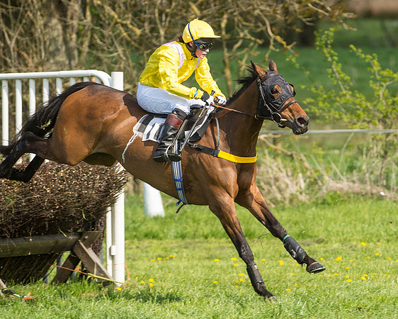 Race 4 - Novice riders (68 of 103).jpg