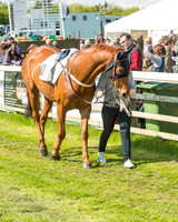 Race 5 - Restricted Race (9 of 92).jpg