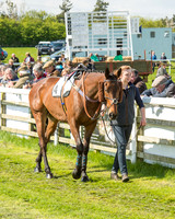 Race 5 - Restricted Race (18 of 92).jpg